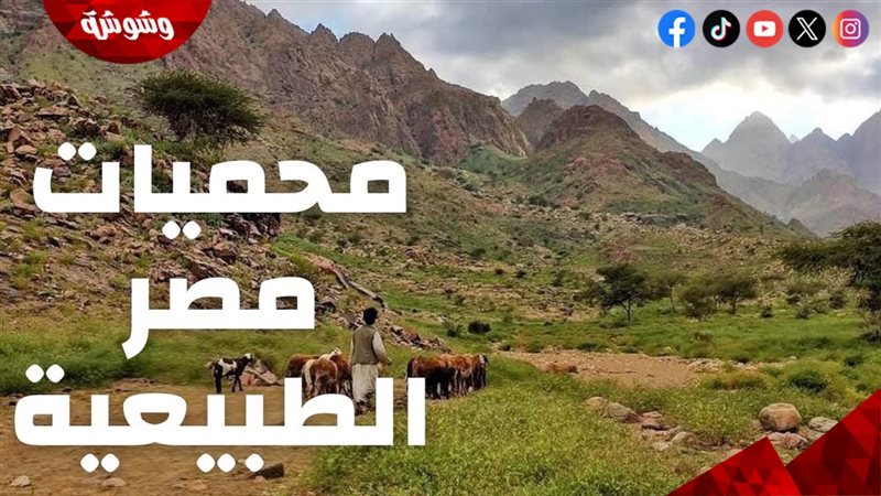 وشوشة