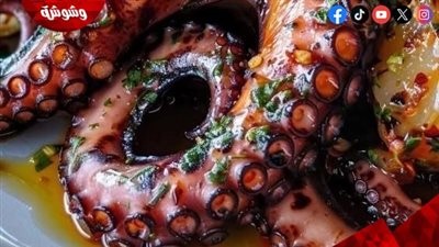 لماذا يجب أن يكون الأخطبوط جزءً من نظامك الغذائي؟