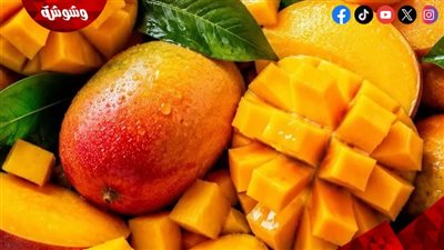 من العويس الفاخر إلى الكيت المتماسك.. دليلك لاختيار مانجو الموسم بكل احترافية