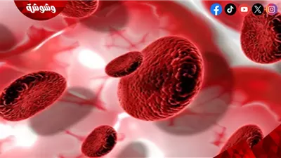 عندما يهاجم الجسم نفسه.. كيف تتحول المناعة إلى عدو لخلايا الدم؟