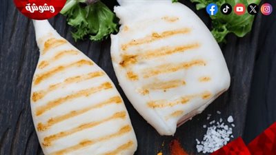 الكالماري في الميزان الصحي: بروتين عالٍ ودهون منخفضة