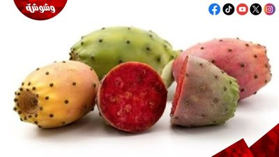 التين الشوكي للنساء.. كنز غذائي يدعم الصحة والجمال