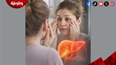 التوتر والأكل السريع.. المزيج الخفي لدمار وظائف الكبد