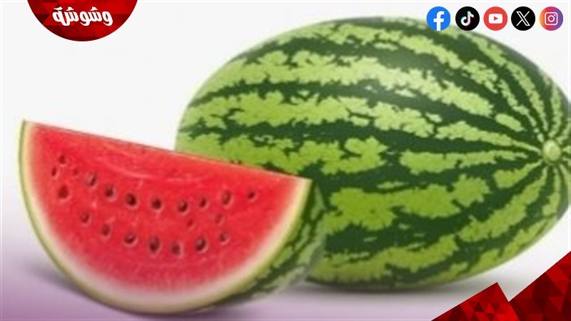 نصائح البطيخ 