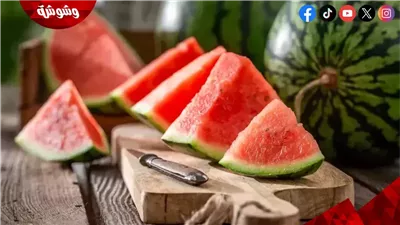 تناوله بانتظام.. البطيخ يمنح جسمك الترطيب والانتعاش