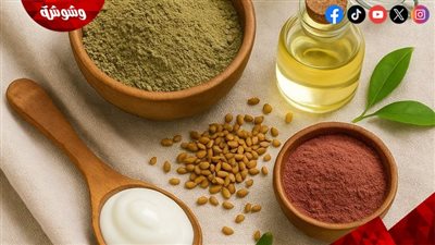 هل يجفف السدر شعرك؟.. إليكِ السبب الحقيقي 