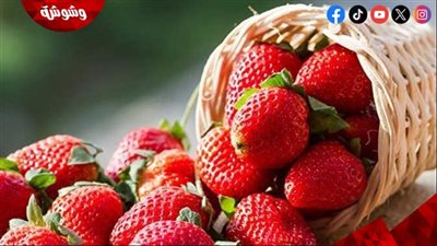 من تقوية المناعة إلى نضارة البشرة.. فوائد الفراولة تعرف عليها