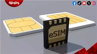 «هنعمل إيه بأكثر من خطين؟».. قرارات جديدة لمنع بيع شرائح المحمول بأسماء المواطنين
