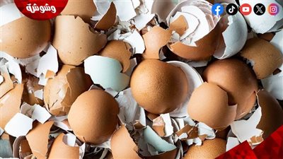لماذا يُصنف قشر البيض كمنجم غني بالكالسيوم؟