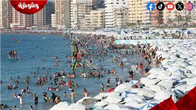 قبل صيف 2027.. هيئة حماية الشواطئ تزف بشرى بشأن شواطئ الإسكندرية