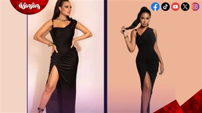 سيرين أمين ونادين نسيب نجيم بإطلالة واحدة من فيرساتشي بسعر 187 ألف جنيه