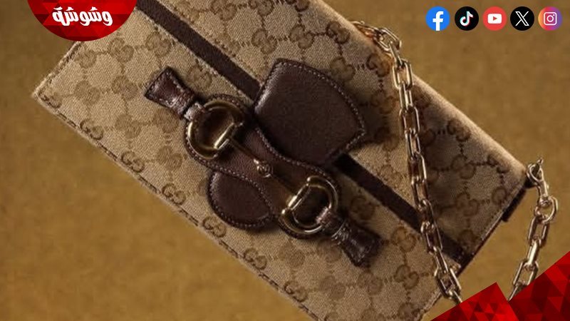 حقيبة غوتشي الفاخرة