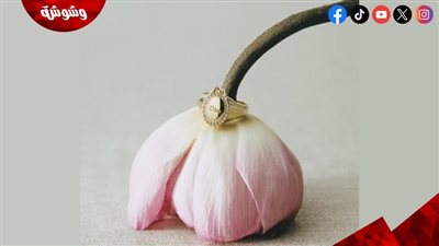 ديور تكشف عن مجوهرات خريف وشتاء 2026/2027 بإلهام من جمال الطبيعة