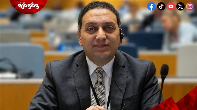 المستشار محمد عادل