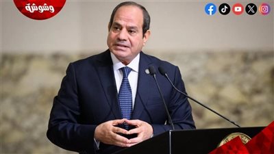  السيسي يعلن تدشين المرحلة الثالثة من المنطقة الصناعية المصرية الصينية
