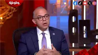 وزير الاستثمار: تأسيس 26 ألف شركة في مصر خلال 6 أشهر