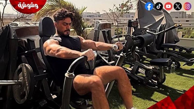تامر حسني