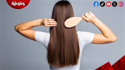 من البيض إلى الأفوكادو.. 10 أطعمة تساهم في العناية بشعرك