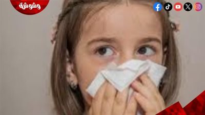 أمينة شلباية تكشف قواعد الاتيكيت في الأماكن العامة.. تفاصيل