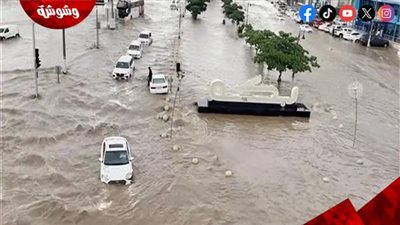وزارة الري: تنفيذ 115 منشأة للحماية من السيول بالبحر الأحمر 