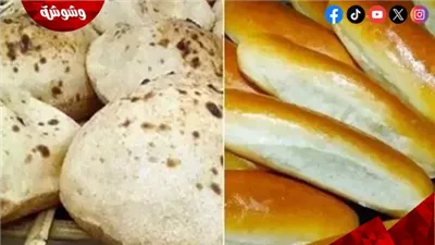 التموين تكشف الأسعار الرسمية للخبز السياحي والأفرنجي.. اعرف التفاصيل