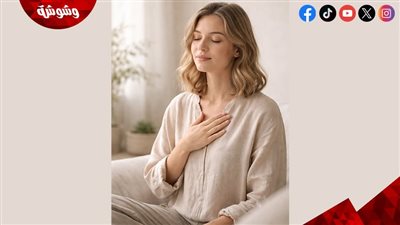 درع الصخرة الرمادية.. دليلك النفسي للتعامل مع الشخصيات غير الآمنة