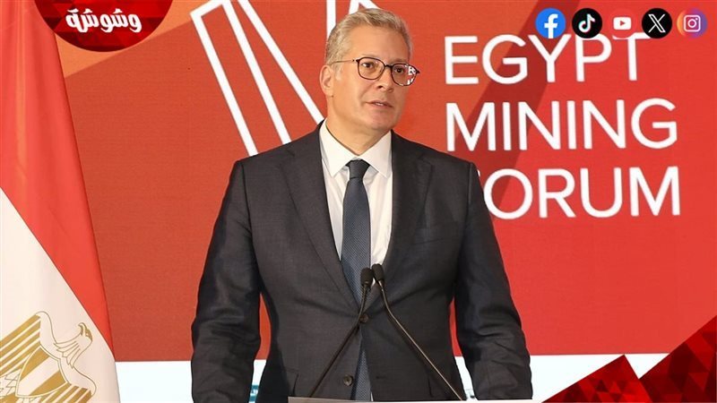 المهندس كريم بدوي