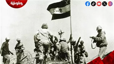 من الراديو للمنصات الرقمية.. كيف حافظ الإعلام على حكاية نصر أكتوبر عبر 53 عامًا؟