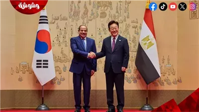 خبير اقتصادي: اجتماع السيسي مع 23 شركة كورية يفتح آفاق جديدة للاستثمار في مصر