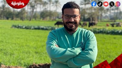 أحمد علي عُكة يكتب: جيل زد وزمن الفيديو الجميل