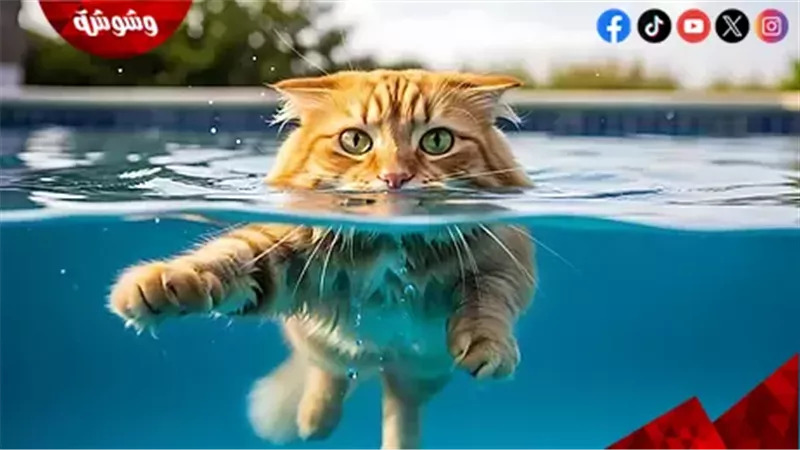 وشوشة