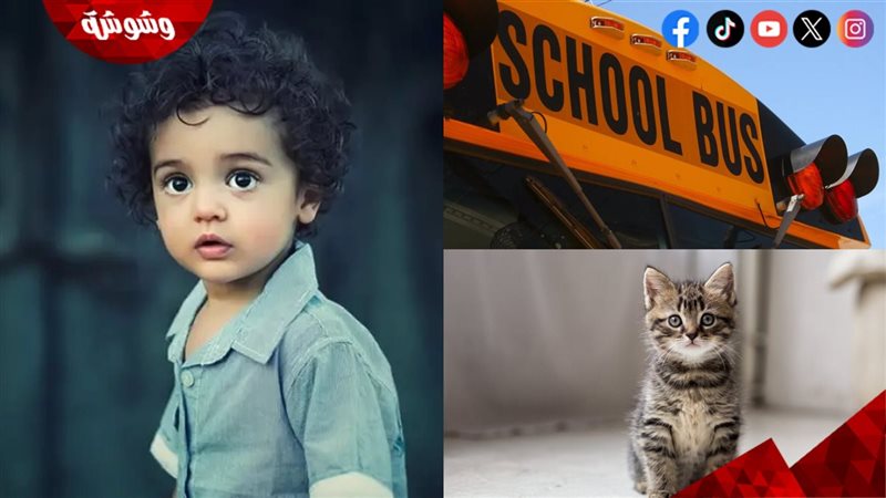 صورة عشوائية لطفل وقطة وأوتوبيس مدرسي