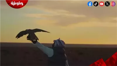 مهرجان الدوحة السينمائي 2026 يحتفي بأربعة أفلام طويلة ومسلسل قطري جديد