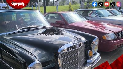قصر السلاملك بالإسكندرية يحتضن عرضًا استثنائيًا للسيارات النادرة لأول مرة.. تفاصيل