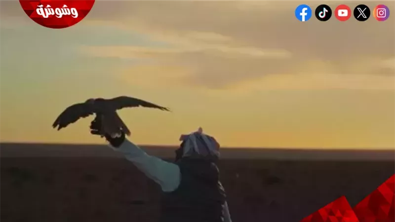 وشوشة