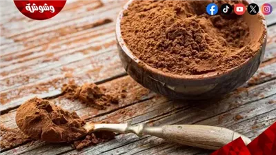 من الكاكاو للقرفة.. أفضل 5 مشروبات دافئة للسهرات العائلية في الشتاء
