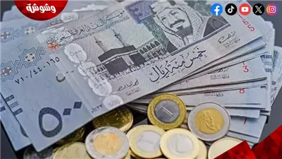 سعر الريال السعودي بالجنيه المصري اليوم الإثنين 26 أكتوبر 2026
